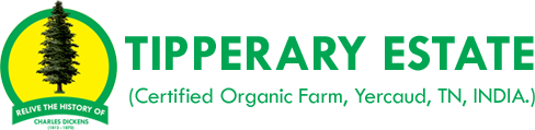 Tipperary Estate – Organic Coffee & Pepper